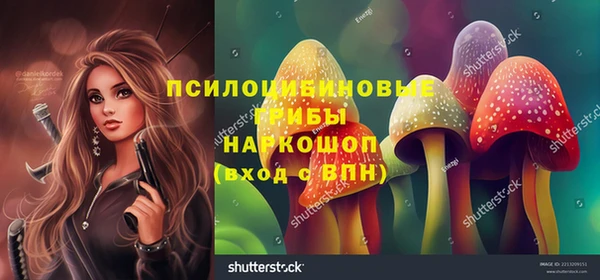 прущая мука Армянск