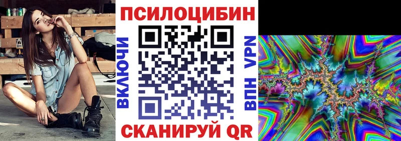 Галлюциногенные грибы Psilocybe Волжский