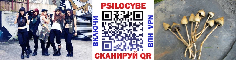 Галлюциногенные грибы мухоморы Волжский